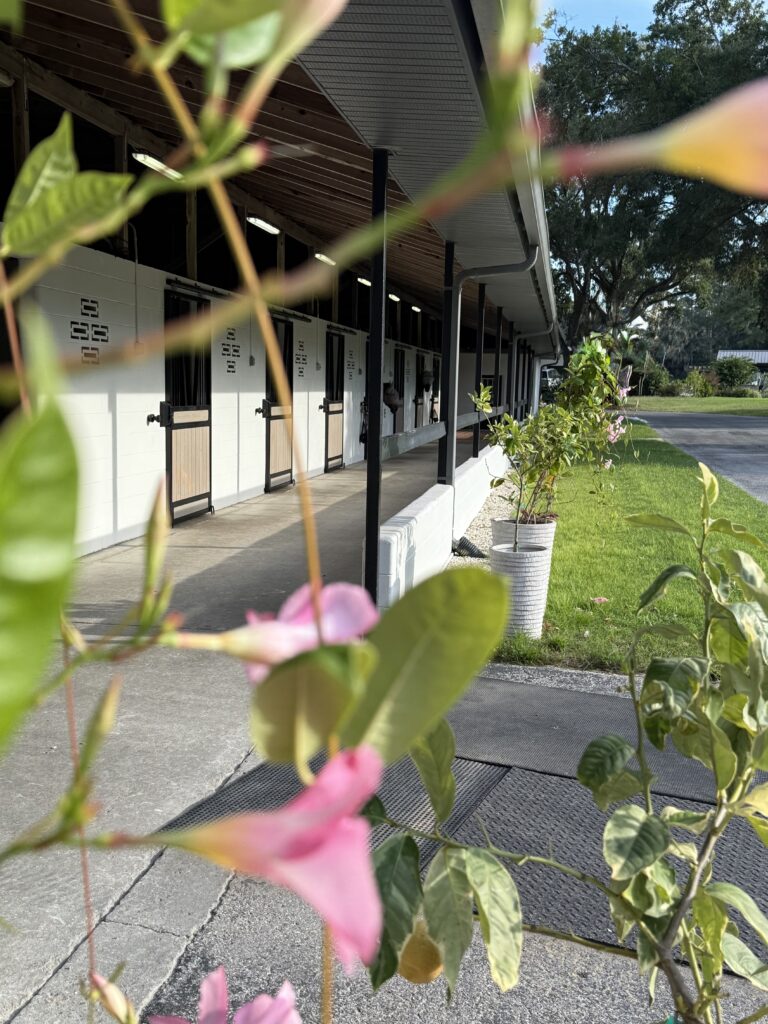 IMG 20261009 104934