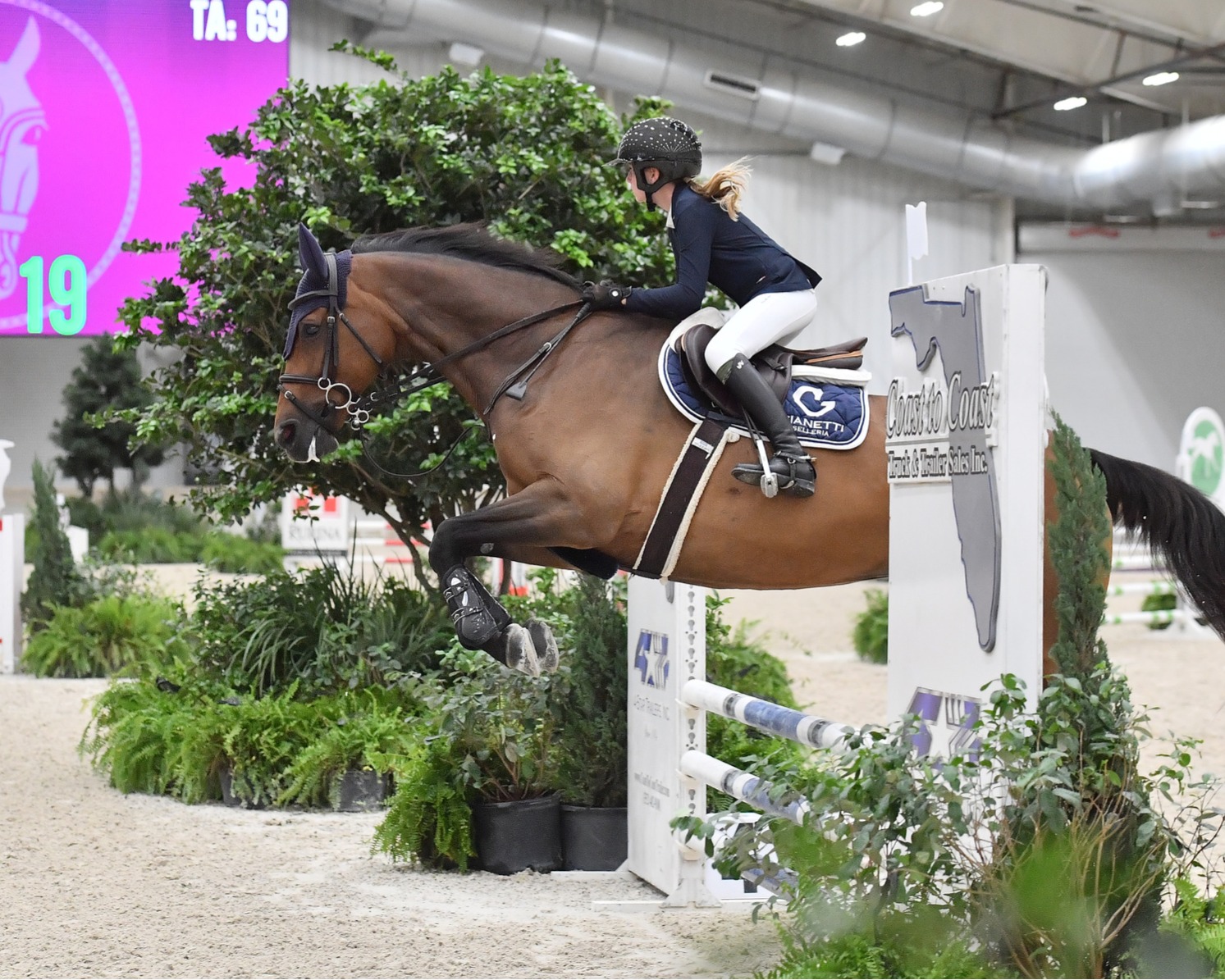 Inez DiNino riding a jumper horse over a fence during training at BluSalt Farm near World Equestrian Center in Ocala Florida