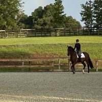 Horse jumping in Longwood GGT arena at BluSalt Farm